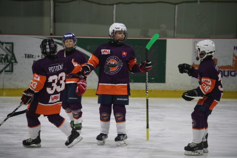 Hokejista podáva hokejku