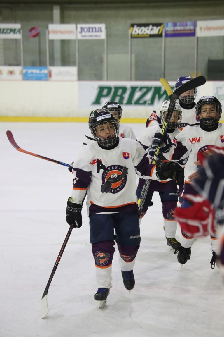 Hokejisti so zdvihnutými hokejkami