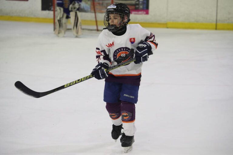 Hokejista Stupka Filip